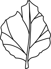Detailed leaf illustration on white background, doodle illustration, leaves, foliage