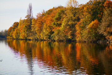 Autumn forest and river Vienne near medieval castle of Les Ormes, France