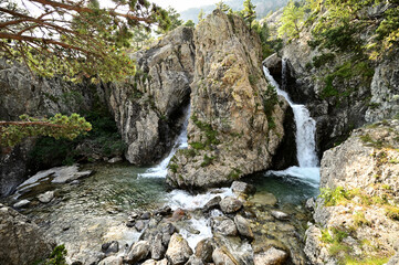 Naturaleza del Pirineo Aragonés
