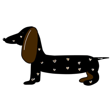 brown dachshund with white hearts on body illustration, dog illustration on white background