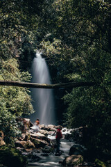 Waterfall landscape in a rain forest in summer, common space in the mountains of central Mexico