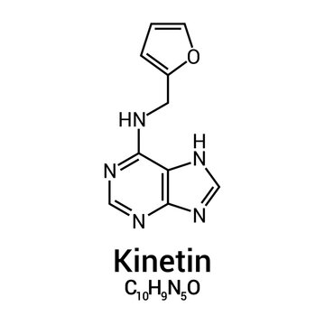 chemical structure of kinetin (C10H9N5O)