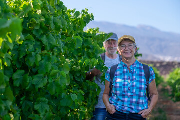 Senior couple of tourists in Tenerife travel visiting vineyard walking amongst grapevines. People on holiday wine tasting experience in summer valley landscape. - Powered by Adobe