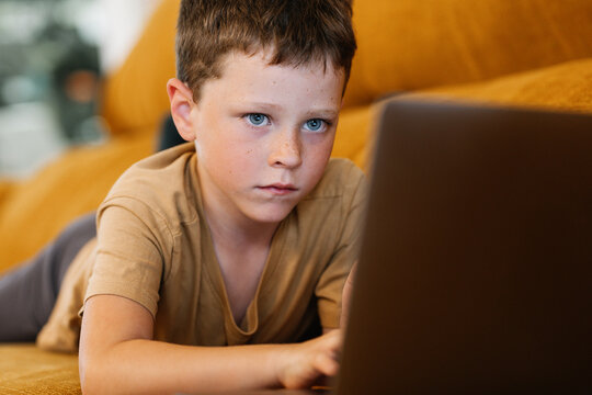 Boy lying on a sofa using the laptop