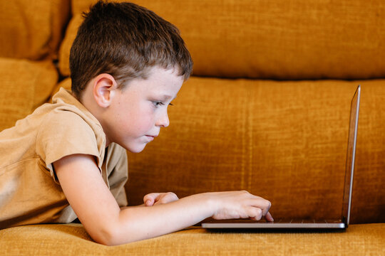 Boy lying on a sofa using the laptop