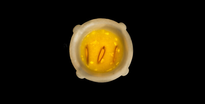 mortero
