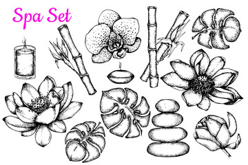 Spa attributes set. Black and white sketch. Hand drawn collection. Isolated on white background. Template for design of Spa , Wellness center. Stock vector illustration.Collection of beauty and spa 