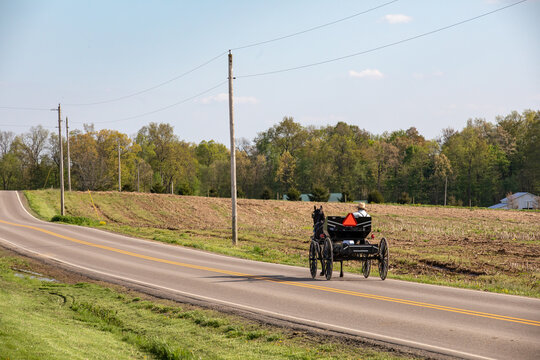 Amish man driving his horse and buggy on a county road through the fields of Amish country, Ohio