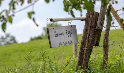 Sign for brown eggs for sale hanging on a fence post with a green field in the background
