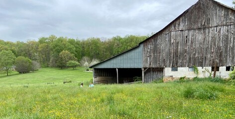 Obraz premium Barn and Pasture Views