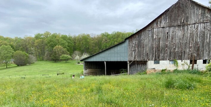 Barn and Pasture Views