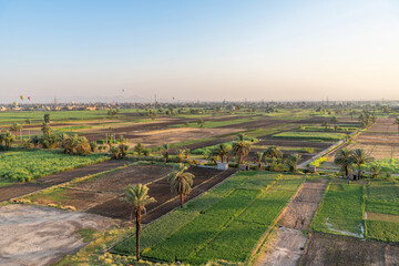 Fototapeta na wymiar An aerial view of the lush fields in Luxor, Egypt.