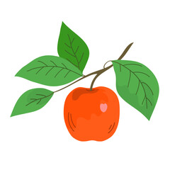 Red apple on a tree branch. Green leaves. Healthy food. Garden and harvest. Cartoon vector illustration isolated on white background