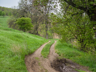 A dirt road, among a green field and trees, going over a hill, on a spring day.