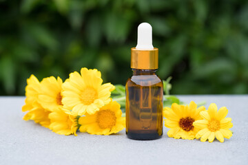 Natural calendula oil in dropper bottle against green leaves as natural background. Herbal cosmetic oil for skincare or essential oil for aromatherapy. Mockup image