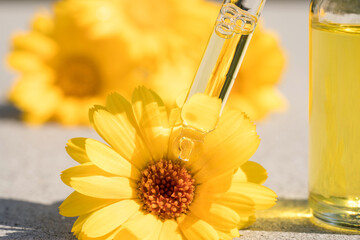 Pipette with calendula oil against flower background with copy space. Herbal cosmetic oil for...