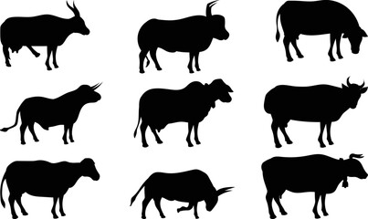 Fototapeta Cow Silhouettes PNG SVG EPS Cow Vector Cow Clipart obraz