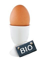 1 gekochtes Bio Hühnerei und Eierbecher auf weissem Hintergrund