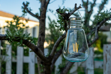 Selective focus on glass solar bulb lighting hanging on olive tree. Garden decoration. Sustainable and renewable energy. Energy saving in nature. Noise effect and grainy texture.
