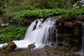 a long-exposure waterfall surrounded by greenery