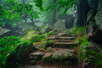 A foggy landscape of stairs from hellish Valley to Chojnik Castle in the Karkonosze Mountains. Poland