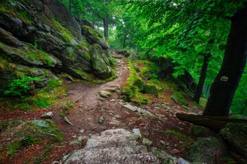 Fototapeta na wymiar A foggy landscape of stairs from hellish Valley to Chojnik Castle in the Karkonosze Mountains. Poland