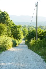 A rural gravel road stretching into the distance. The concept of travel and adventure.