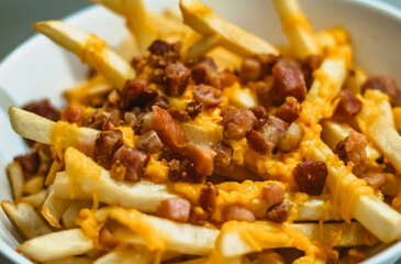 A super deal of french fries served with Bacon and cheddar cheese