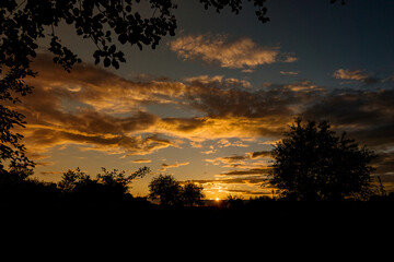 sunset in the forest