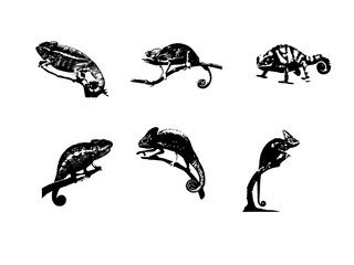 Chameleon silhouette Vector Art & Graphics for Free. EPS