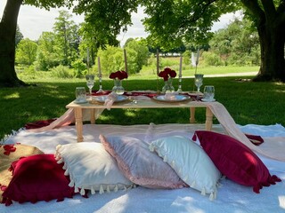 luxury picnic at the park