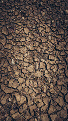 Naklejka premium dry earth