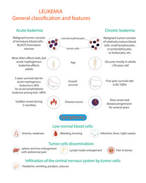 Vector illustration of leukemia disease classification and symptoms