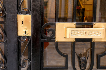 Black iron door modernist style with golden details