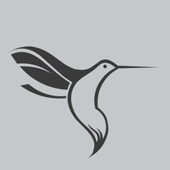 vector illustration, hummingbird logo