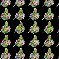 Parakeet on a flower pattern