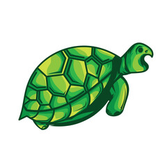turtle vector illustration,