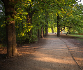 Naklejka premium Pathway with bench at Normafa, Budapest