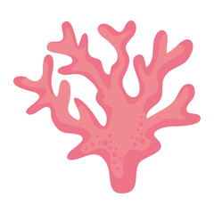 pink seaweed sealife