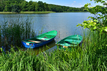 Landscape with a lake, reeds and two boats on a sunny summer day. Horizon with green trees. Natural forest background. Wildlife. Poland, park in the Kurnik castle, Poznan, June 2022.