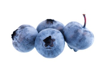 Fresh blueberry isolated on white background. Bilberry or whortleberry. Clipping path.