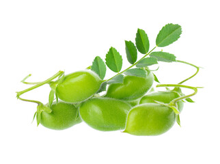 Green chickpeas in the pod with green leaves, isolated on white background. Cicer arietinum. Clipping path.
