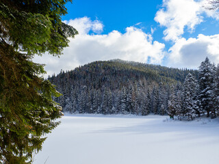 Frozen lake Synevyr against the background of a forest in the Carpathian mountains. Winter lake among the snow-covered woods. Beautiful landscapes with coniferous forest on a bright sunny day.