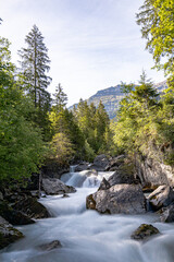 softed river between trees in forest, sunrise in cloudy sky, green trees, water on rocks in nature, longexpouse