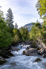 river between trees in forest, sunrise in cloudy sky, green trees, water on rocks in nature