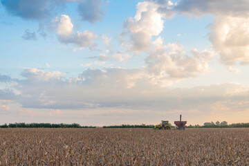 Fototapeta premium Combine harvester working in the field