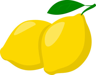 Fresh lemon fruits, lemon, two whole fruit,  vector illustration isolated on white background