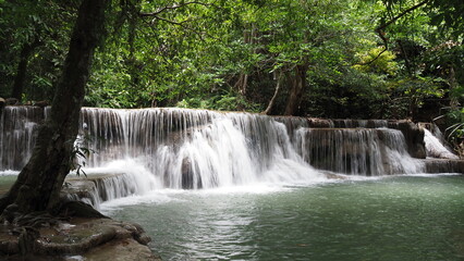 Fototapeta na wymiar The Erawan Falls in Kanchanaburi Province in Thailand