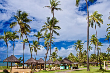 Fototapeta na wymiar Beach and coconuts trees at Sauipe Coast, on the northern coast of the state of Bahia. The entire area is filled with hotels and resorts , which form the largest tourist complex in Brazil. August 2018