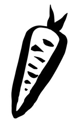 Carrot vegetable hand painted with ink brush